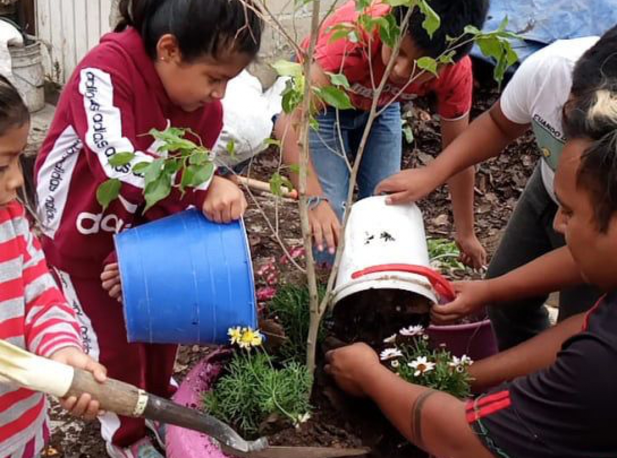 Vecinos de Metepec se unen y llevan a cabo la actividad "Cuidemos un árbol"